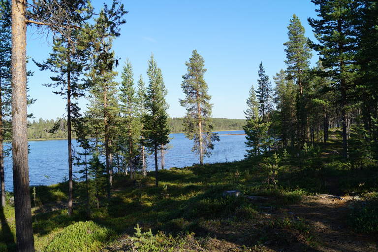 lake at Blåbär