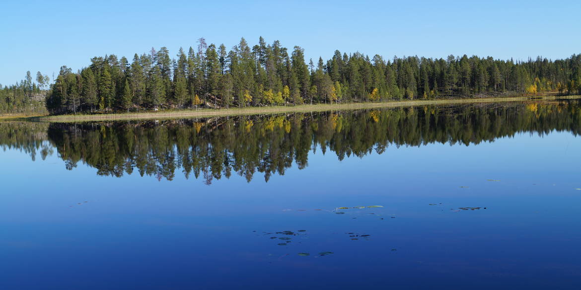 Sea in Myrkulla in the summertime